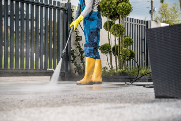 Best Residential Pressure Washing Services  in Benton, IL