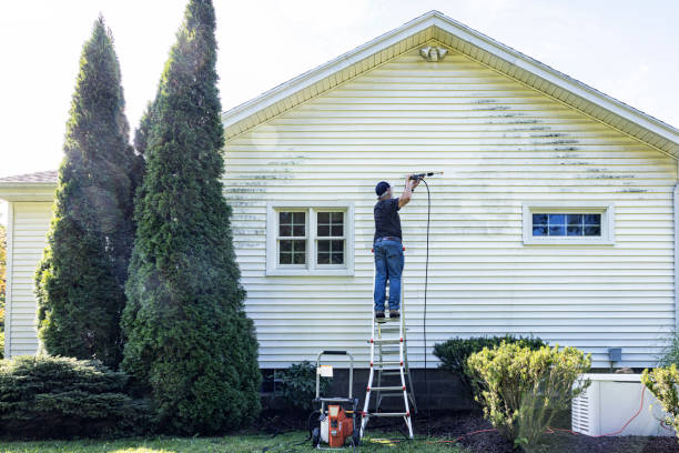 Local Pressure Washing Services in Benton, IL